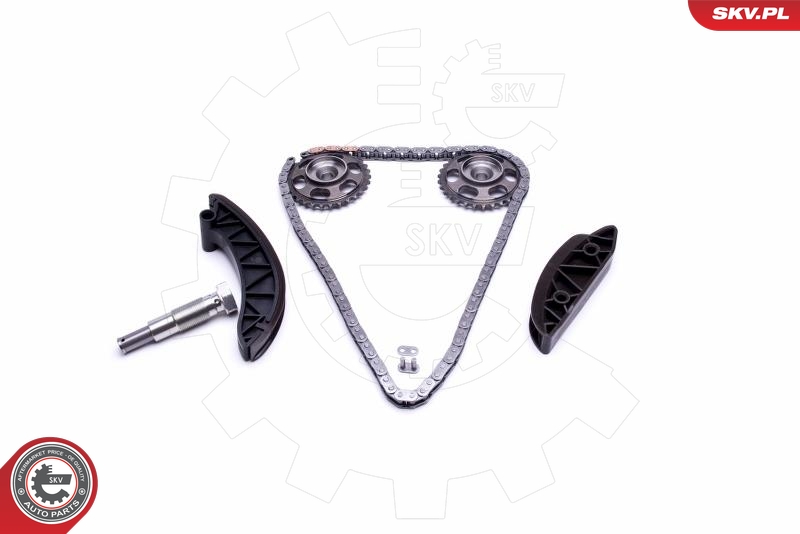 Kit de cadena de distribución ESEN SKV 21SKV171