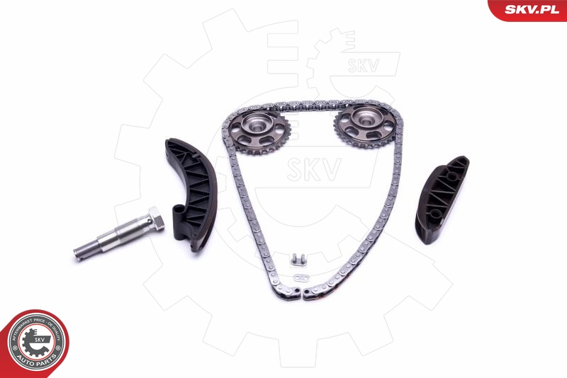 Kit de cadena de distribución ESEN SKV 21SKV172