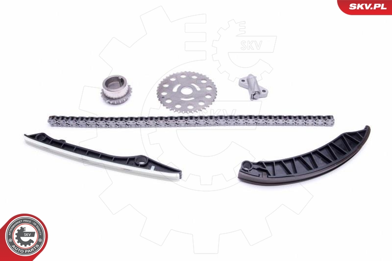 Kit de cadena de distribución ESEN SKV 21SKV173