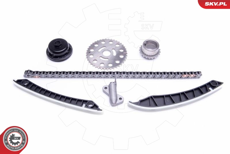 Kit de cadena de distribución ESEN SKV 21SKV193