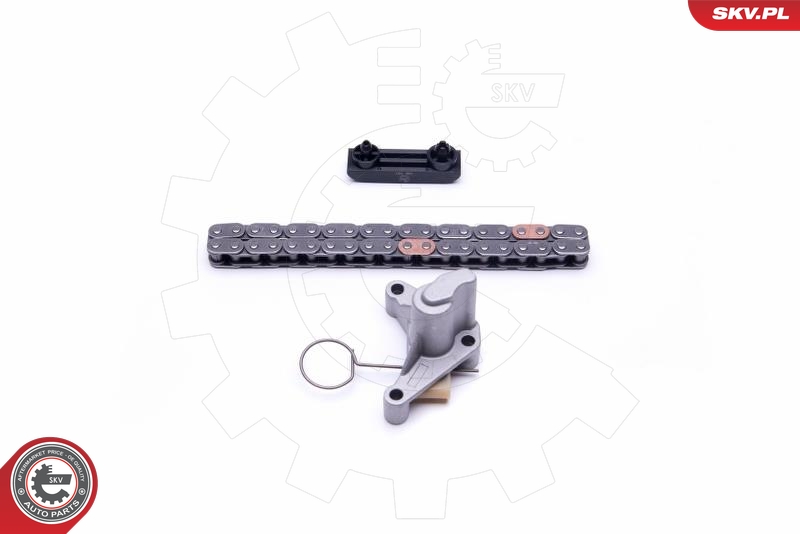 Kit de cadena de distribución ESEN SKV 21SKV240