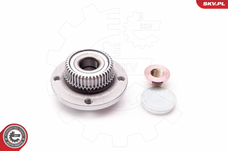 Wheel Bearing Kit ESEN SKV 29SKV012