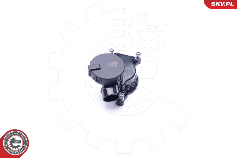 Válvula, ventilación cárter ESEN SKV 31SKV070
