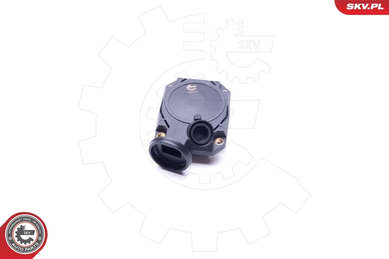 Válvula, ventilación cárter ESEN SKV 31SKV074