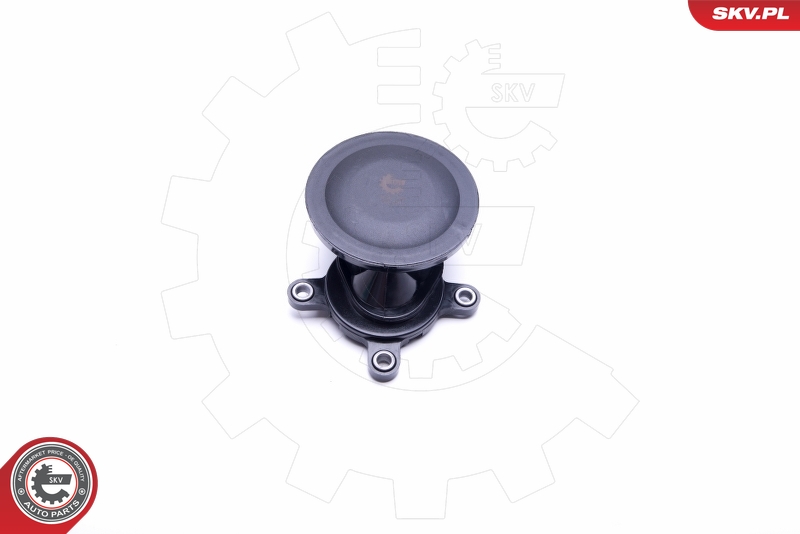 Válvula, ventilación cárter ESEN SKV 31SKV159