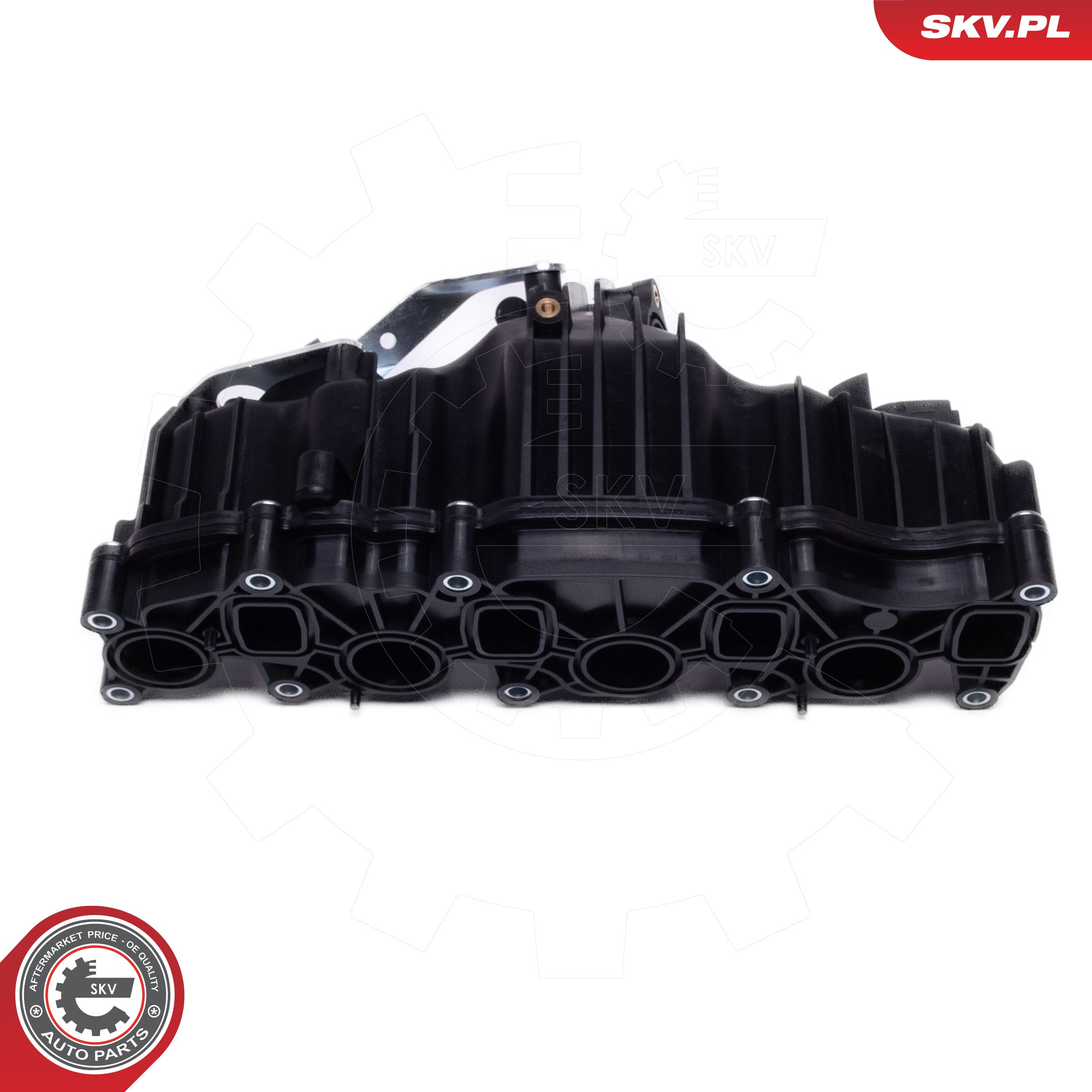 Módulo de tubo de admisión ESEN SKV 49SKV077