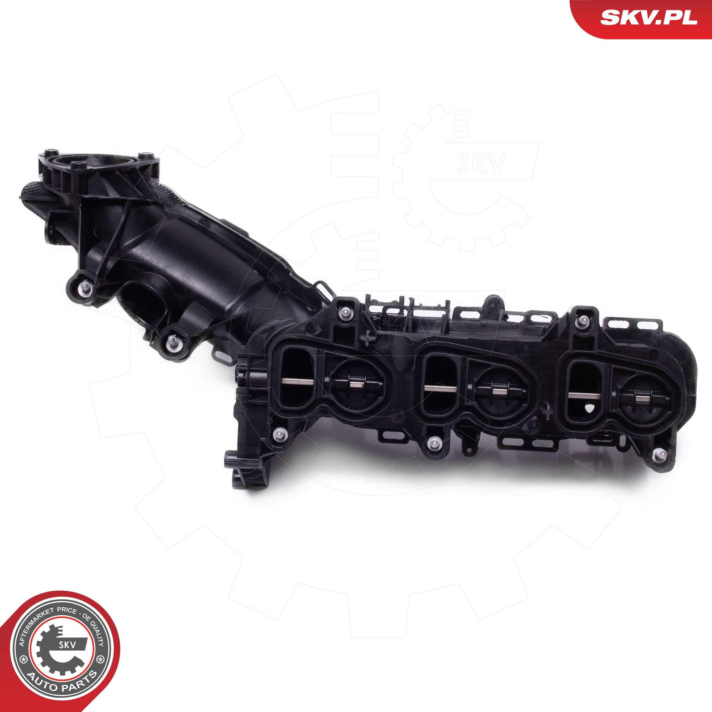 Módulo de tubo de admisión ESEN SKV 49SKV079