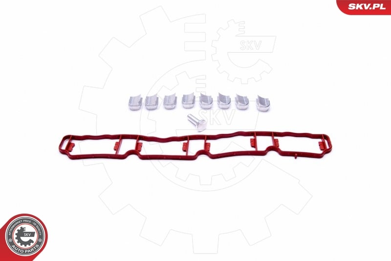 Kit de réparation, module de tube d’aspiration ESEN SKV 49SKV510