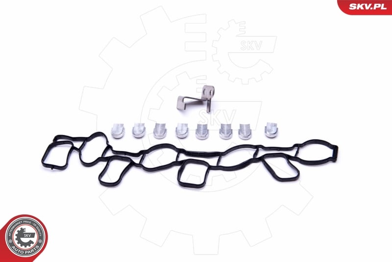 Kit de réparation, module de tube d’aspiration ESEN SKV 49SKV511