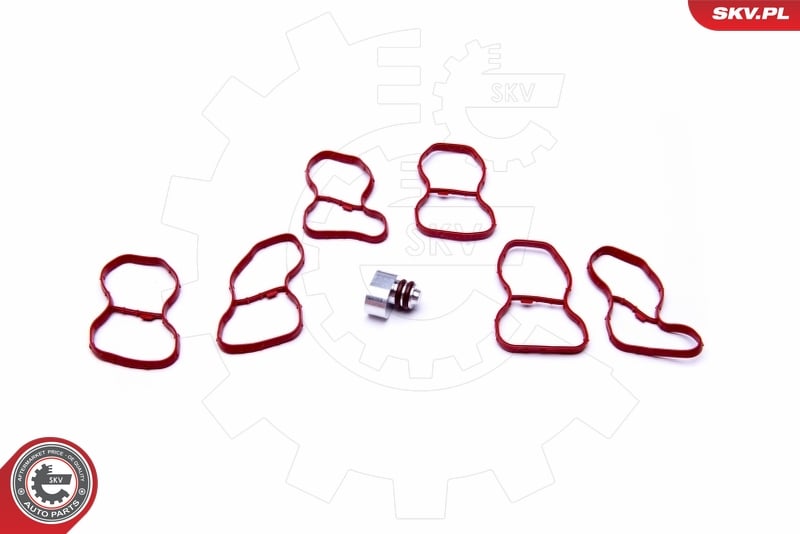 Kit de réparation, module de tube d’aspiration ESEN SKV 49SKV516