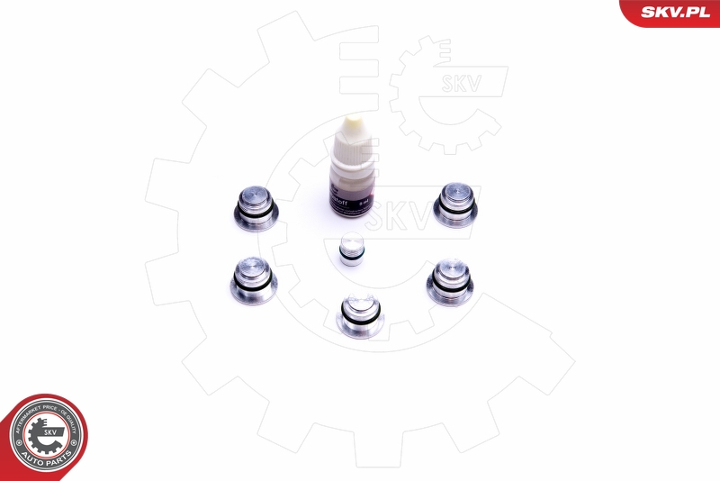 Kit de réparation, module de tube d’aspiration ESEN SKV 49SKV533