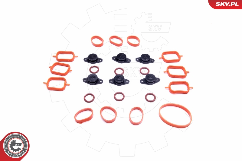Kit de réparation, module de tube d’aspiration ESEN SKV 49SKV567