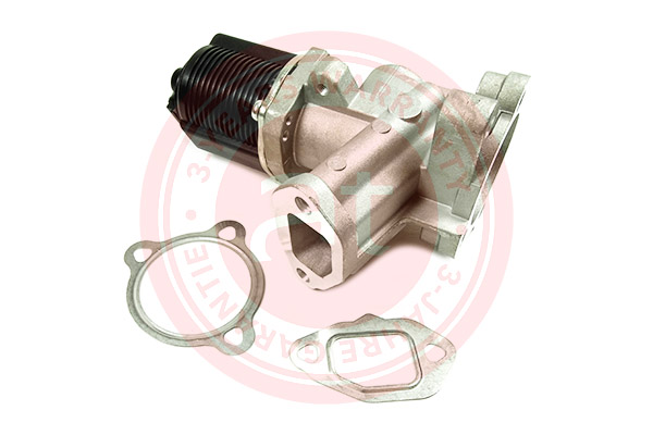 EGR Valve at autoteile germany at20998