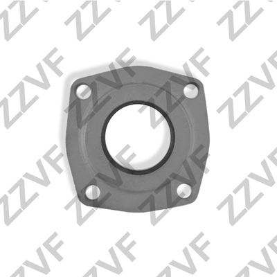 Shaft Seal, differential ZZVF ZVCL249