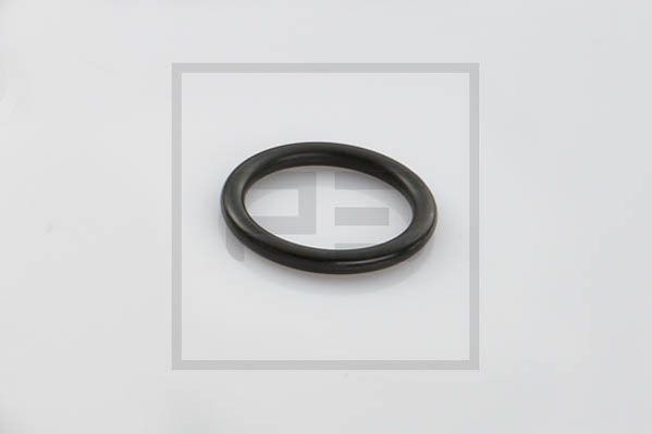 Seal Ring PE Automotive 036.621-00A