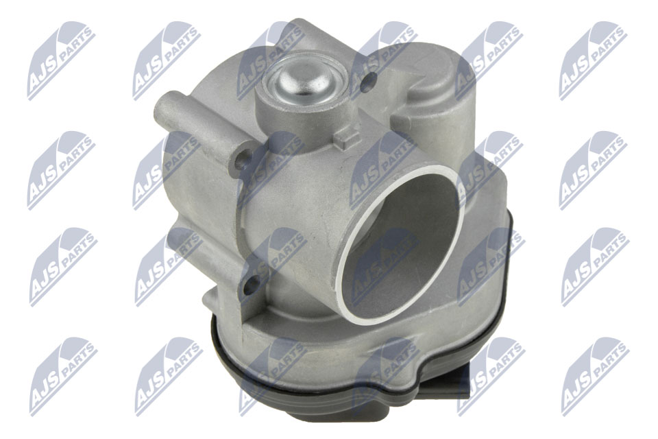 Throttle body NTY ETB-FR-001