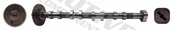 Camshaft MOTIVE T2131