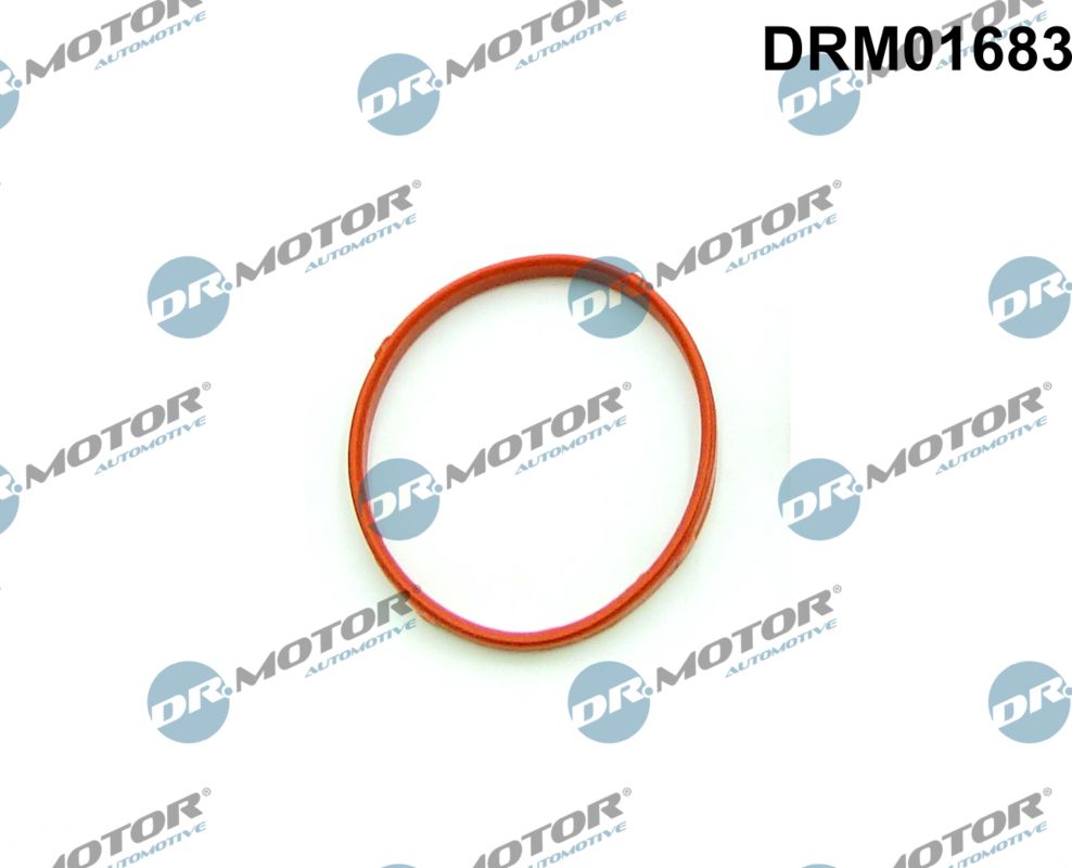 Seal, throttle body Dr.Motor Automotive DRM01683