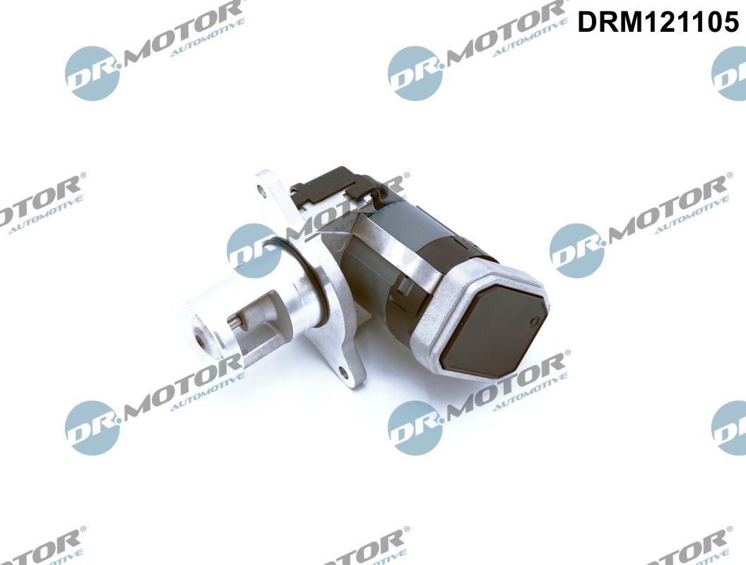EGR Valve Dr.Motor Automotive DRM121105