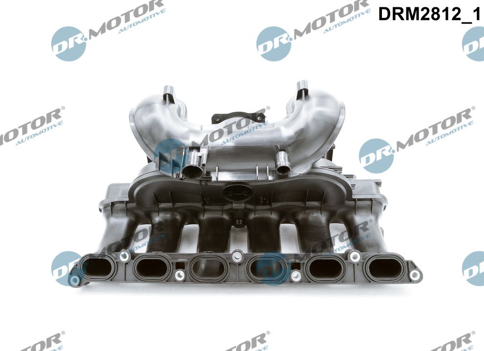 Módulo de tubo de admisión Dr.Motor Automotive DRM2812