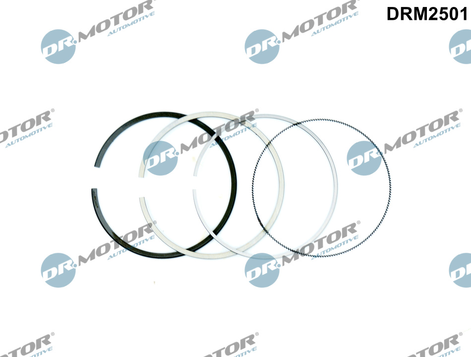 Piston Ring Kit Dr.Motor Automotive DRM2501