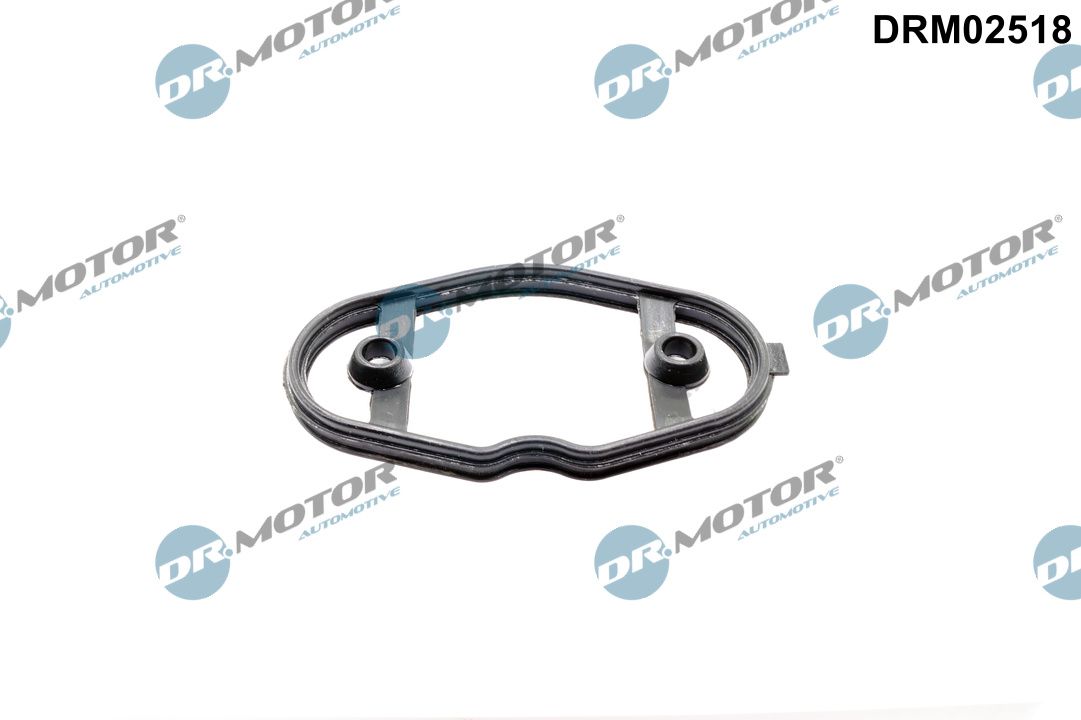 Gasket, fuel pump Dr.Motor Automotive DRM02518