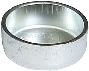 Locking Cover, camshaft Professional Parts 21436780