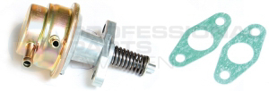 Fuel Pump Professional Parts 23342733