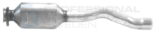 Katalizator Professional Parts 254390170