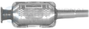 Catalytic Converter Professional Parts 254390648