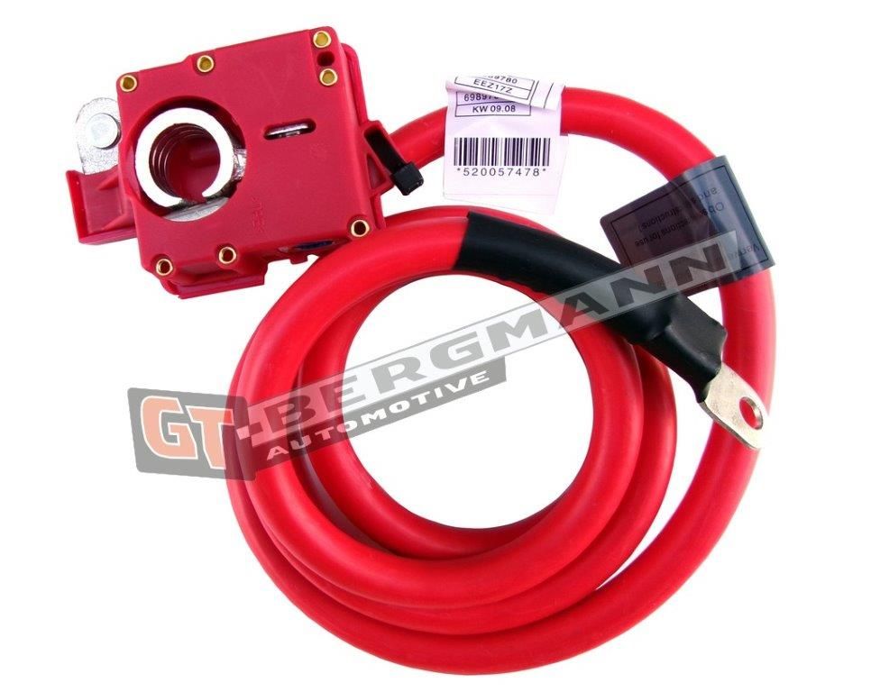 Battery Adapter GT-BERGMANN GT40-016