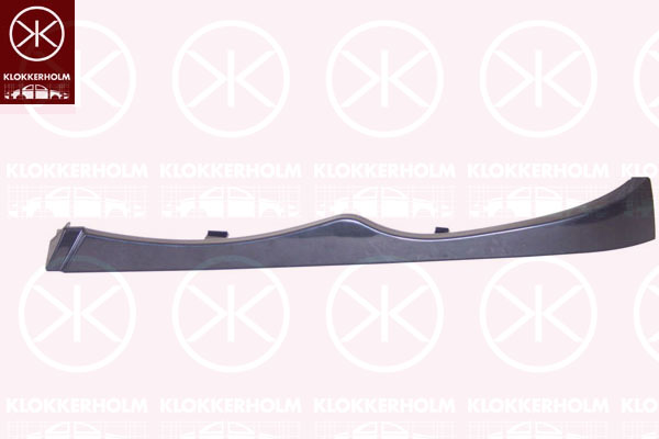 Headlight Trim KLOKKERHOLM 00619915