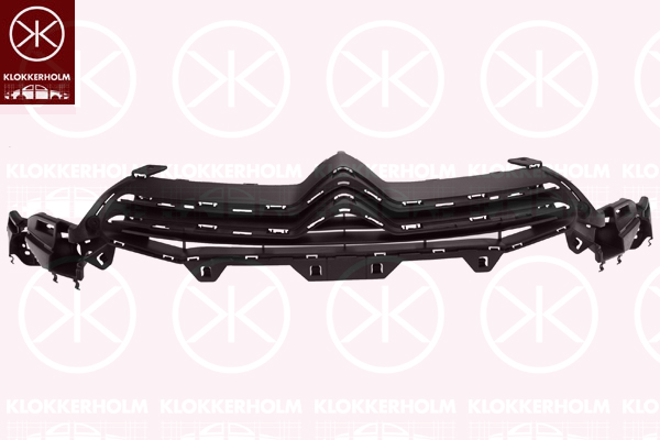 Radiator Grille KLOKKERHOLM 0539990A1