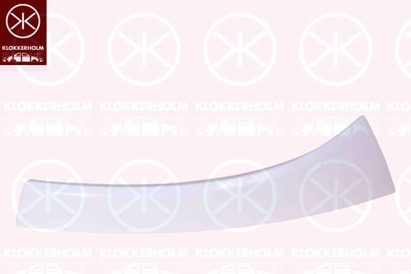 Headlight Trim KLOKKERHOLM 2097214