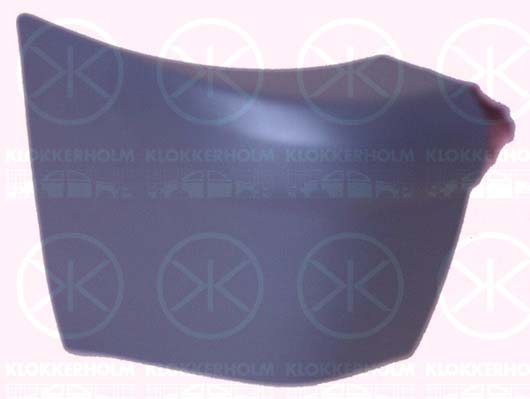 Bumper KLOKKERHOLM 2507961