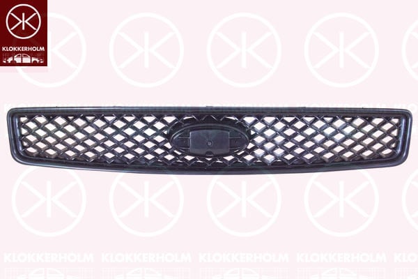 Radiator Grille KLOKKERHOLM 2576990A1