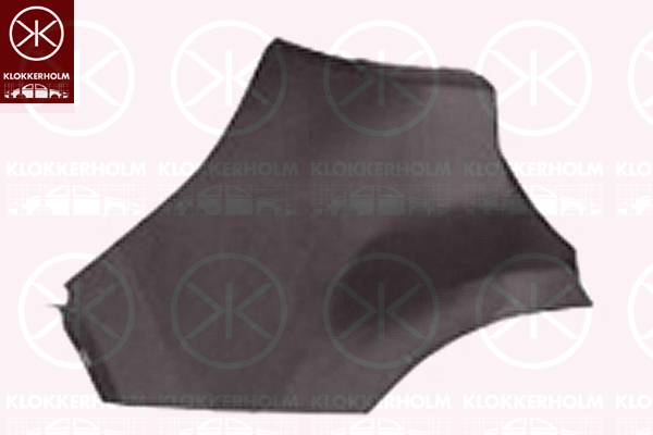 Bumper KLOKKERHOLM 6017961