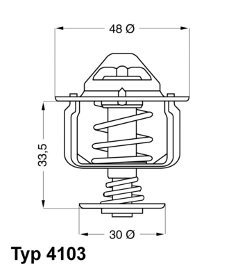 Thermostat, coolant WAHLER 4103.82D