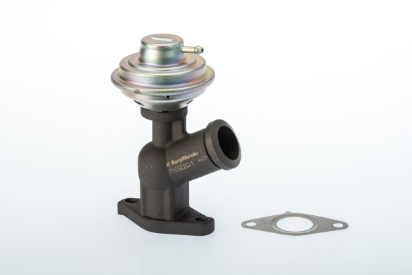 EGR Valve WAHLER 710922D/1