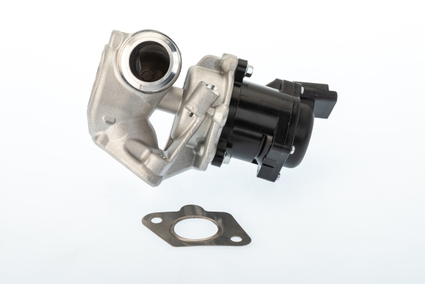 EGR Valve WAHLER 710929D/1