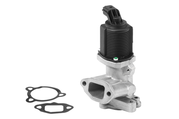 EGR Valve WAHLER 710949R