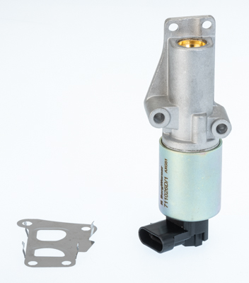 EGR Valve WAHLER 711026D/1