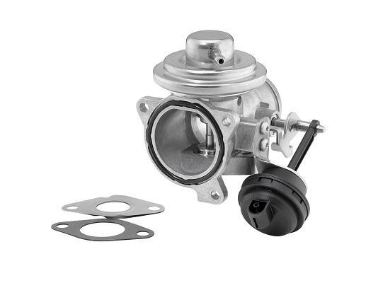 EGR Valve WAHLER 7293D/1