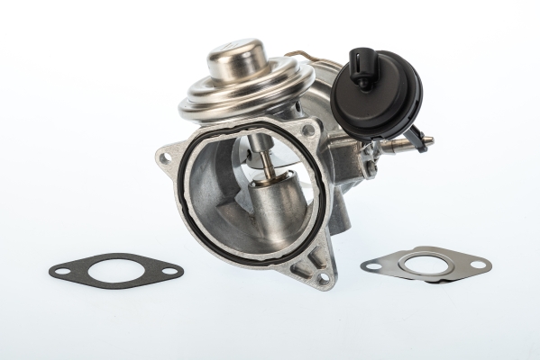 EGR Valve WAHLER 7650D