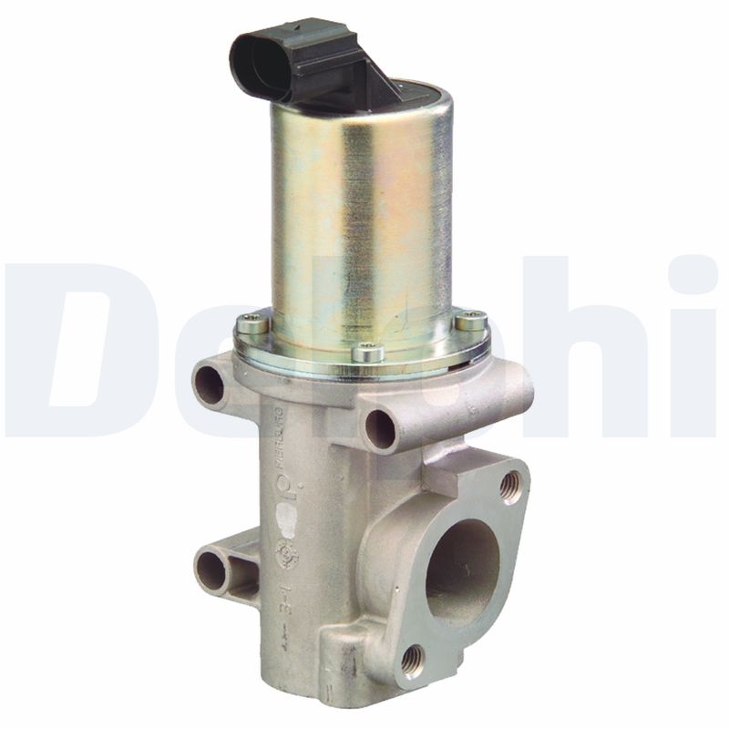 EGR Valve DELPHI EG10302-12B1