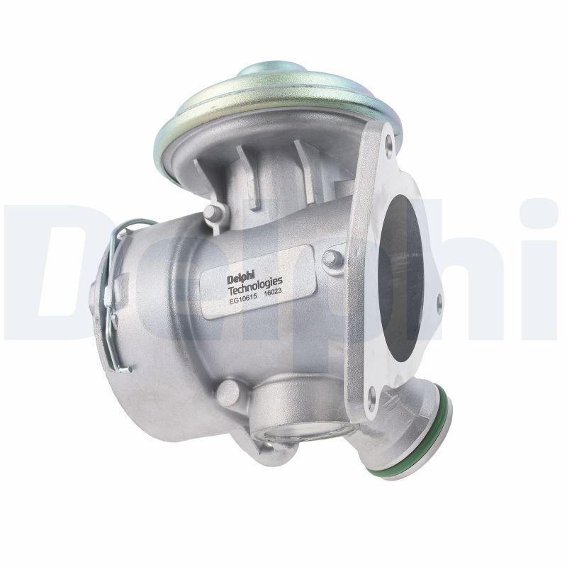 EGR Valve DELPHI EG10615-12B1