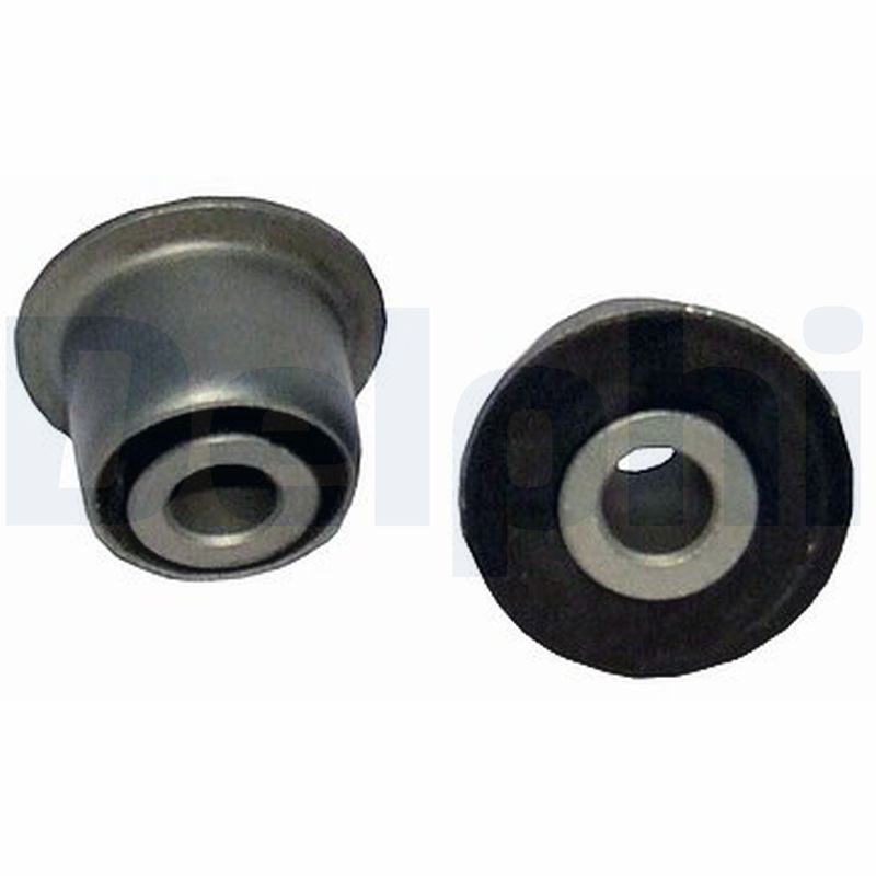 Control Arm-/Trailing Arm Bush DELPHI TD300W