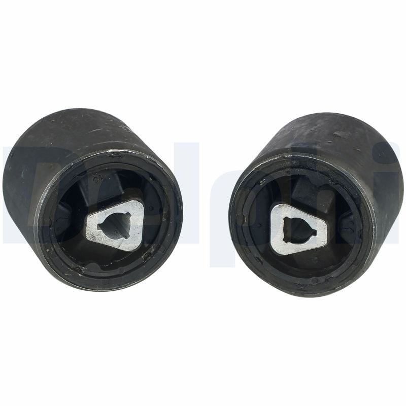 Control Arm-/Trailing Arm Bush DELPHI TD891W