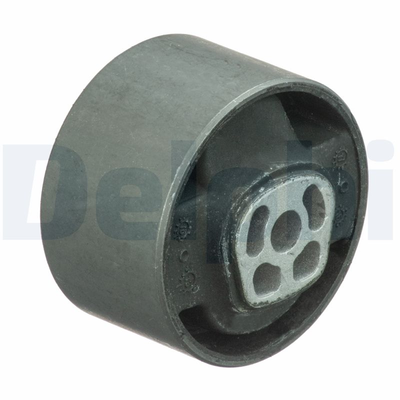 Engine Mounting DELPHI TEM089
