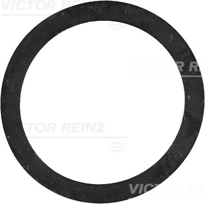 Seal Ring REINZ 40-77243-00